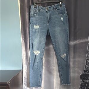Classic Blue Distressed Ankle Jeans